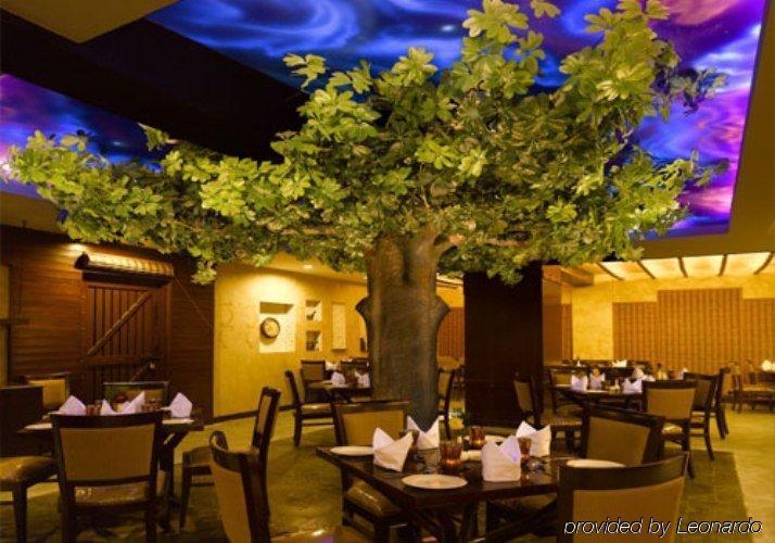 Hotel Hindusthan International, Váránasí Restaurace fotografie